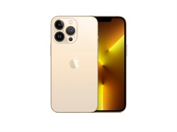 iPhone 13 Pro 128 ГБ, Gold (Золотой) MLW33RU - фото 52332