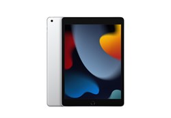 Apple iPad 10.2 (9-го поколения) 2021 64GB Wi-Fi Silver (Серебристый) - фото 52442