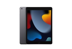 iPad 10.2 (9-го поколения) 2021 256GB LTE Space gray (Серый космос) - фото 52447