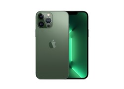 Apple iPhone 13 Pro Max 256GB Alpine Green (Альпийский зелёный) - фото 52546