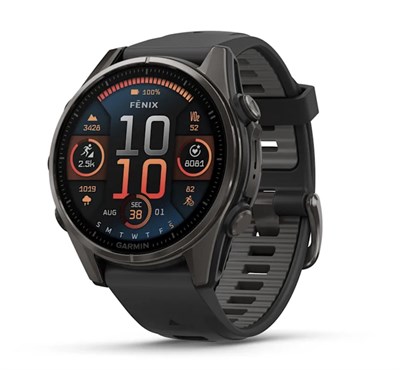 Garmin Fenix 8 Sapphire Amoled 43мм Carbon Gray DLC Titanium, Black/Pebble Gray Silicon Band 15367