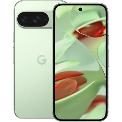 Google Pixel 9 12/128 GB Wintergreen (Зимне-зелёный) 15727