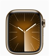 Apple Watch S9 41mm, корпусс из нержавеющей стали Золотой MRQ23, спортивный ремешок цвета Soft Mint - S/M (140-190mm)