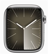Apple Watch S9 45mm, корпусс из нержавеющей стали Серебристый MRQM3, миланский браслет цвета Серебристый