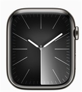 Apple Watch S9 45mm, корпусс из нержавеющей стали Графитовый MRQN3, миланский браслет цвета Графитовый