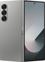 Galaxy Z Fold 6, 256 ГБ, Silver Shadow (Серебрянная тень), SM-F956B