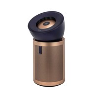 Dyson BP04 Prussian/Gold 15691