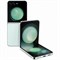 Galaxy Z Flip 5 8 ГБ/256 ГБ Mint (SM-F731B) SM-F731BLGG - фото 51335 Galaxy Z Flip 5 8 ГБ/256 ГБ Mint (SM-F731B) SM-F731BLGG - фото 51335