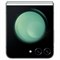 Galaxy Z Flip 5 8 ГБ/256 ГБ Mint (SM-F731B) SM-F731BLGG - фото 51339 Galaxy Z Flip 5 8 ГБ/256 ГБ Mint (SM-F731B) SM-F731BLGG - фото 51339
