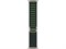 Watch Ultra 2, 49 мм, Натуральный Титан корпус c Dark Green Alpine Loop ремешком - L (165-210 мм) MYT33-MXMW3
