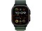 Watch Ultra 2, 49 мм, Чёрный Титан корпус c Dark Green Alpine Loop ремешком - L (165-210 мм) MYTF3-MYPT3-MX4T3