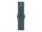 Watch Series 10, 42 мм, Silver, Алюминиевый корпус с Lake Green Sport Band - M/L (150-200мм) MWWW3-MXLA3