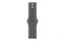 Watch Series 10, 42 мм, Jet Black, Алюминиевый корпус с Stone Gray Sport Band - S/M (130-180мм) MWWX3-MXLG3