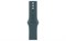 Watch Series 10, 46 мм, Jet Black, Алюминиевый корпус с Lake Green Sport Band - M/L (160-210мм) MWX13-MXLR3