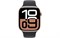 Watch Series 10, 42 мм, Gold, Алюминиевый корпус с Black Sport Band - M/L (150-200мм) MWWY3-MXLK3