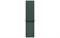 Watch Series 10, 46 мм, Silver, Алюминиевый корпус с Lake Green Sport Loop MWX03-MXL83