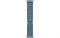 Watch Ultra 3, 49 мм, корпус из титана, цвет ремешка Blue, Alpine Loop, размер M (145-190 мм) 14558