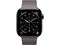 Watch Series 11, 42 mm, Slate, Титановый корпус с Slate Link Bracelet 15303