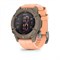 Garmin Descent G2 Paloma/Shell Pink 15436