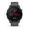 Умные часы Garmin Forerunner 255 Black/Gray Band 15484