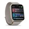 Garmin Venu X1 Gold Titanium, French Gray Band 15500