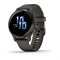 Garmin Venu 2S Gray 15521
