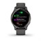 Garmin Venu 2S Gray 15521