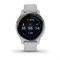 Garmin Venu 2S Silver 15523