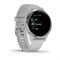 Garmin Venu 2S Silver 15523