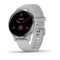 Garmin Venu 2S Silver 15523