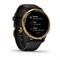Garmin Venu 2 Black, Gold Bezel 15524