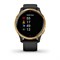 Garmin Venu 2 Black, Gold Bezel 15524