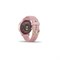 Garmin Lily Sport Cream Gold, Dust Rose Band 15549