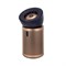 Dyson BP03 Prussian/Gold 15692