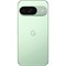 Google Pixel 9 12/128 GB Wintergreen (Зимне-зелёный) 15727