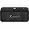 Marshall Emberton II Black Steel (Черная сталь) 15830