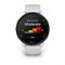Умные часы Garmin Forerunner 70 Whitestone (010-04307-01) 16349
