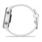 Умные часы Garmin Forerunner 170 Music Whitestone (010-03920-11) 16355